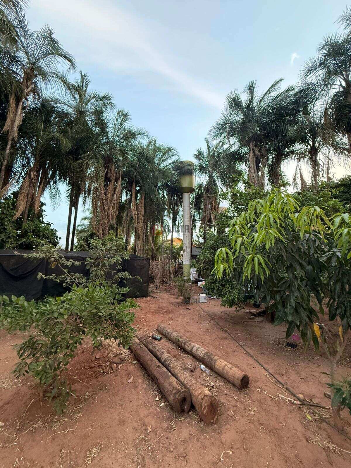 Chácara à venda 1079m2 – Estância Bertoluzzo – Cedral/SP